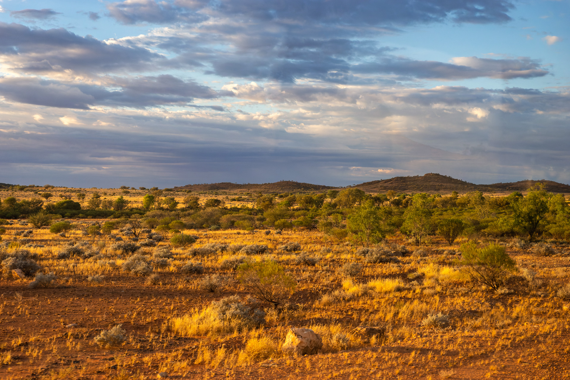 Morgentliche Stimmung auf dem Weg zum Uluru / Ayers Rock
